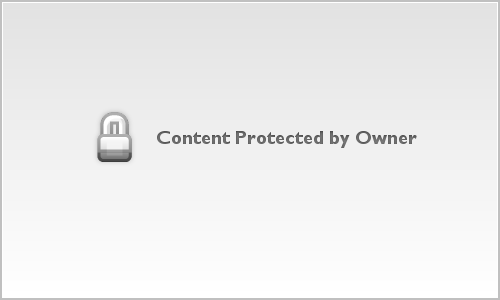 Family Photos 2023